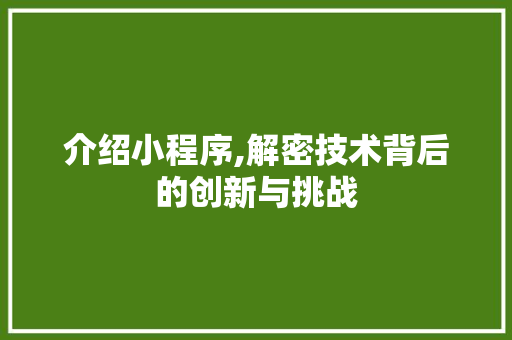 介绍小程序,解密技术背后的创新与挑战