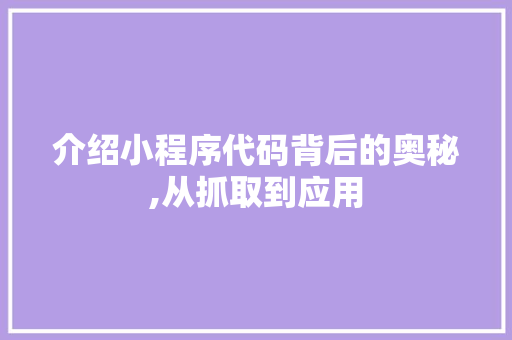 介绍小程序代码背后的奥秘,从抓取到应用