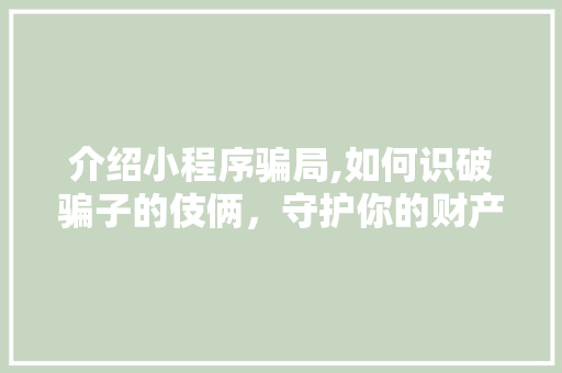介绍小程序骗局,如何识破骗子的伎俩，守护你的财产安全