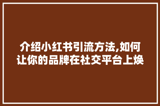 介绍小红书引流方法,如何让你的品牌在社交平台上焕发光彩 介绍小红书引流方法,如何让你的品牌在社交平台上焕发光彩 必应SEO