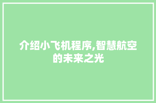 介绍小飞机程序,智慧航空的未来之光 介绍小飞机程序,智慧航空的未来之光 必应SEO