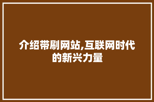 介绍带刷网站,互联网时代的新兴力量