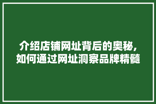 介绍店铺网址背后的奥秘,如何通过网址洞察品牌精髓