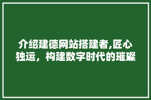 介绍建德网站搭建者,匠心独运，构建数字时代的璀璨明珠
