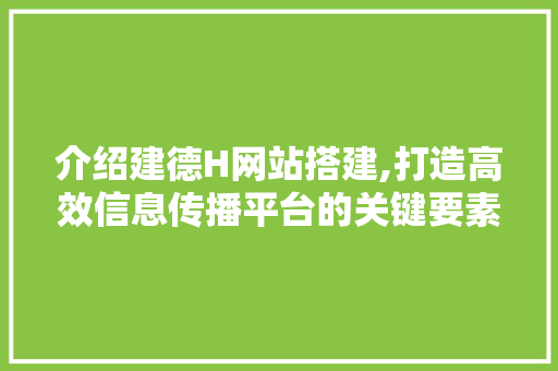 介绍建德H网站搭建,打造高效信息传播平台的关键要素