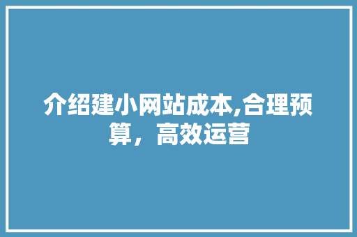 介绍建小网站成本,合理预算，高效运营 介绍建小网站成本,合理预算，高效运营 网站建设公司