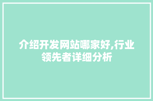 介绍开发网站哪家好,行业领先者详细分析