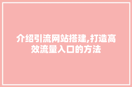 介绍引流网站搭建,打造高效流量入口的方法