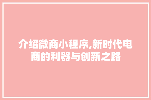 介绍微商小程序,新时代电商的利器与创新之路