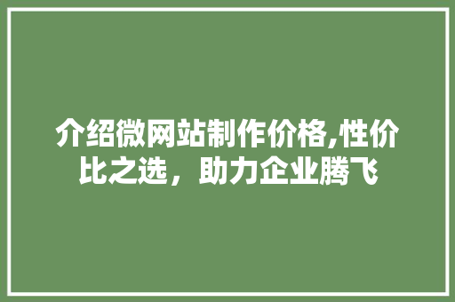 介绍微网站制作价格,性价比之选，助力企业腾飞