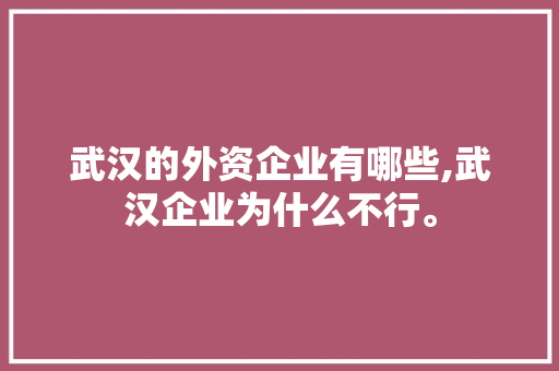 武汉的外资企业有哪些,武汉企业为什么不行。 武汉的外资企业有哪些,武汉企业为什么不行。 必应SEO