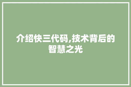 介绍快三代码,技术背后的智慧之光