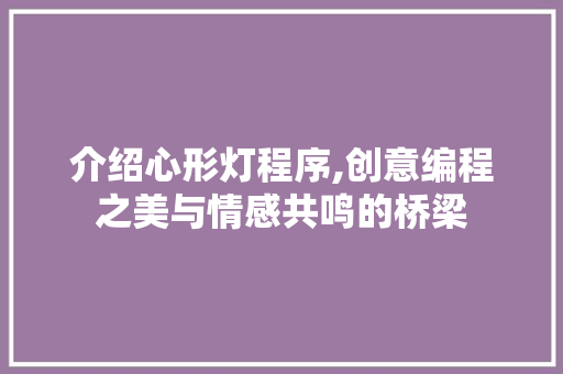 介绍心形灯程序,创意编程之美与情感共鸣的桥梁