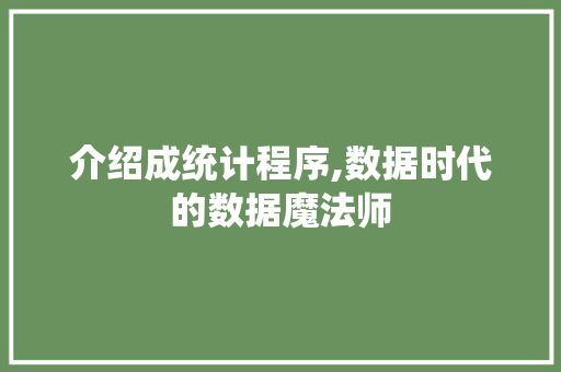 介绍成统计程序,数据时代的数据魔法师