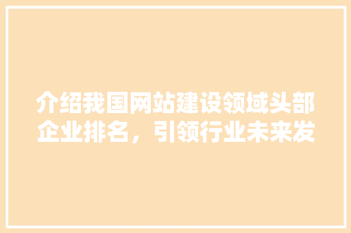 介绍我国网站建设领域头部企业排名，引领行业未来发展