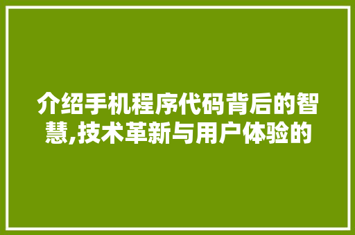 介绍手机程序代码背后的智慧,技术革新与用户体验的融合