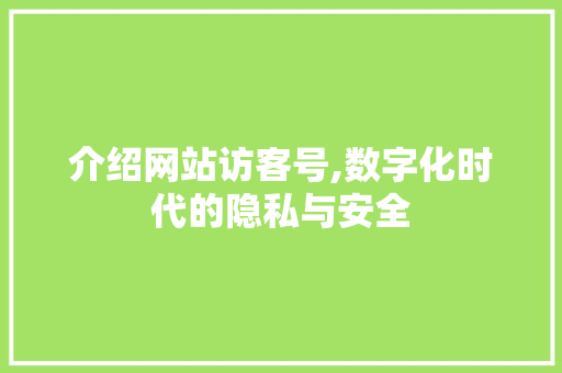 介绍网站访客号,数字化时代的隐私与安全 介绍网站访客号,数字化时代的隐私与安全 百度SEO