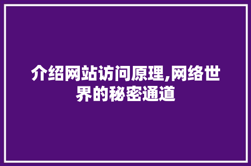 介绍网站访问原理,网络世界的秘密通道