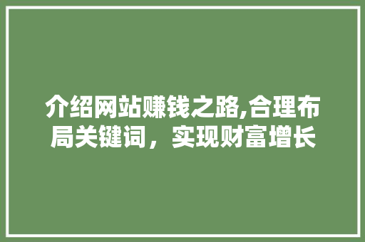 介绍网站赚钱之路,合理布局关键词，实现财富增长