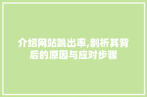 介绍网站跳出率,剖析其背后的原因与应对步骤