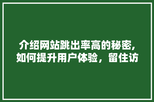 介绍网站跳出率高的秘密,如何提升用户体验，留住访客