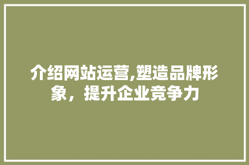 介绍网站运营,塑造品牌形象，提升企业竞争力