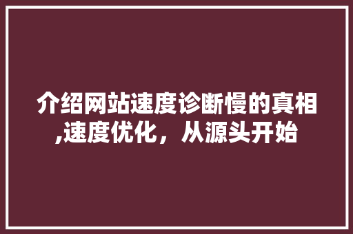 介绍网站速度诊断慢的真相,速度优化，从源头开始
