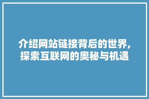介绍网站链接背后的世界,探索互联网的奥秘与机遇