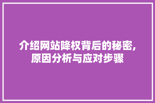 介绍网站降权背后的秘密,原因分析与应对步骤