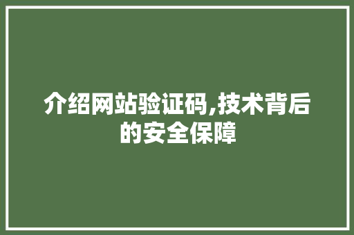 介绍网站验证码,技术背后的安全保障