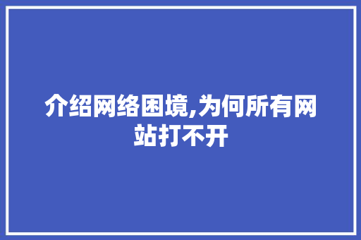介绍网络困境,为何所有网站打不开