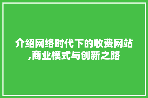 介绍网络时代下的收费网站,商业模式与创新之路