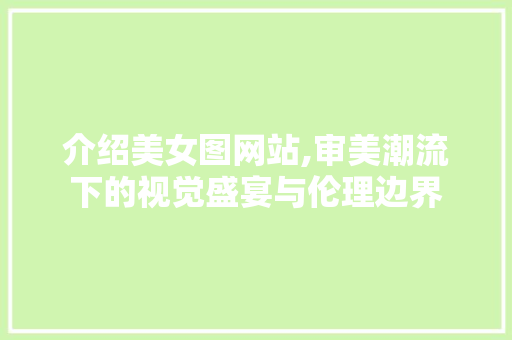 介绍美女图网站,审美潮流下的视觉盛宴与伦理边界