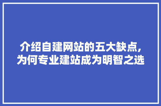 介绍自建网站的五大缺点,为何专业建站成为明智之选 介绍自建网站的五大缺点,为何专业建站成为明智之选 网站建设公司