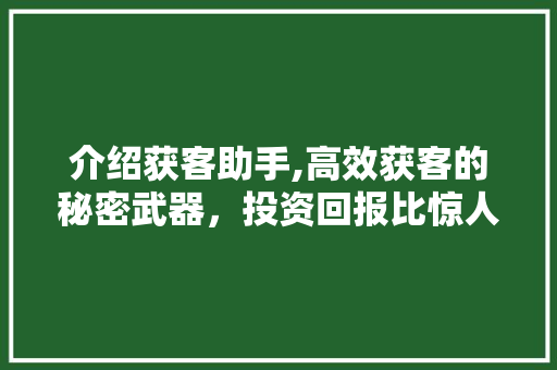 介绍获客助手,高效获客的秘密武器，投资回报比惊人！ 介绍获客助手,高效获客的秘密武器，投资回报比惊人！ 百度SEO
