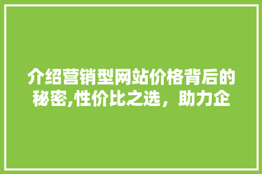 介绍营销型网站价格背后的秘密,性价比之选，助力企业腾飞 介绍营销型网站价格背后的秘密,性价比之选，助力企业腾飞 网站建设公司