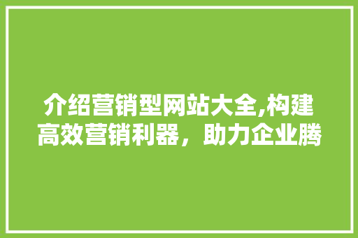介绍营销型网站大全,构建高效营销利器，助力企业腾飞