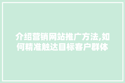 介绍营销网站推广方法,如何精准触达目标客户群体