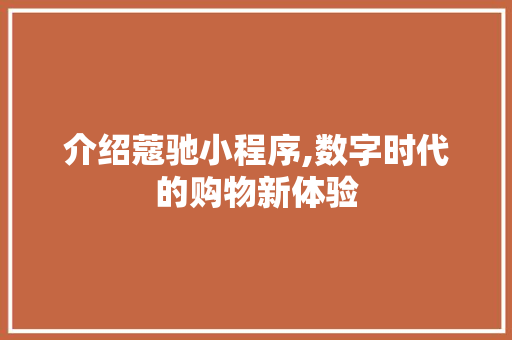 介绍蔻驰小程序,数字时代的购物新体验