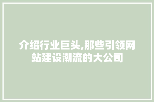 介绍行业巨头,那些引领网站建设潮流的大公司