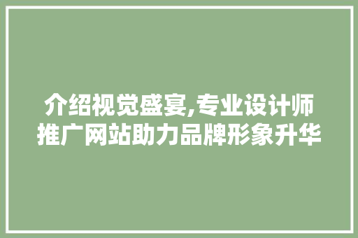 介绍视觉盛宴,专业设计师推广网站助力品牌形象升华 介绍视觉盛宴,专业设计师推广网站助力品牌形象升华 神马SEO