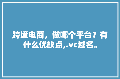 跨境电商，做哪个平台？有什么优缺点,.vc域名。 跨境电商，做哪个平台？有什么优缺点,.vc域名。 必应SEO