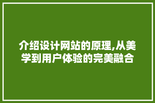 介绍设计网站的原理,从美学到用户体验的完美融合