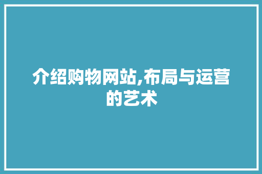 介绍购物网站,布局与运营的艺术