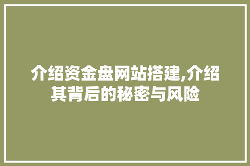 介绍资金盘网站搭建,介绍其背后的秘密与风险