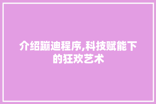介绍蹦迪程序,科技赋能下的狂欢艺术