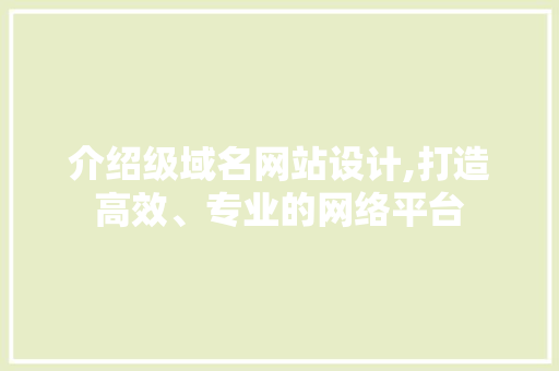 介绍级域名网站设计,打造高效、专业的网络平台