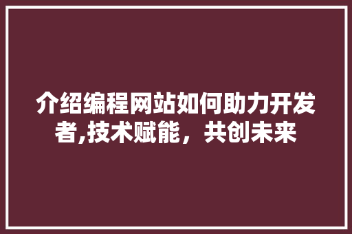 介绍编程网站如何助力开发者,技术赋能，共创未来