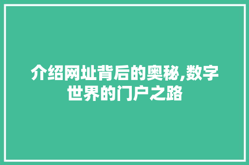 介绍网址背后的奥秘,数字世界的门户之路 介绍网址背后的奥秘,数字世界的门户之路 百度SEO