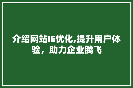 介绍网站IE优化,提升用户体验，助力企业腾飞 介绍网站IE优化,提升用户体验，助力企业腾飞 搜狗SEO